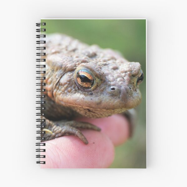 Item preview, a frog on a hand designed and sold by ToniStauche.
