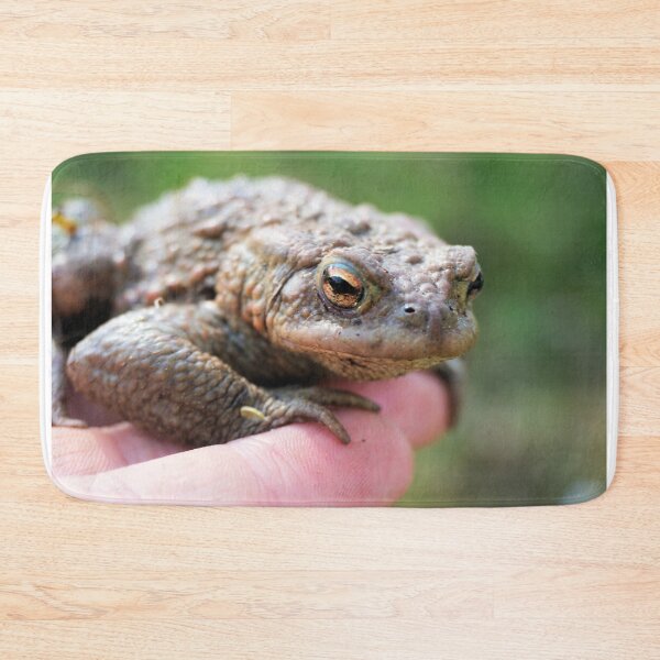 Item preview, a frog on a hand designed and sold by ToniStauche.