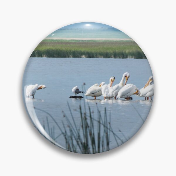 Item preview, American white pelicans designed and sold by CanadianWild418.