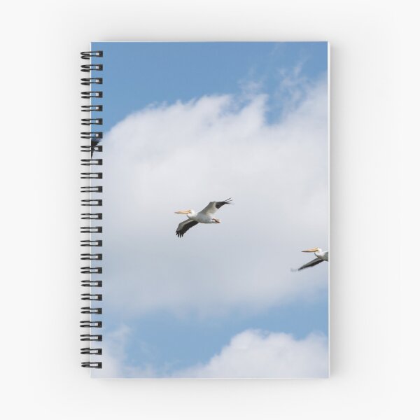 Item preview, American pelicans in flight designed and sold by CanadianWild418.