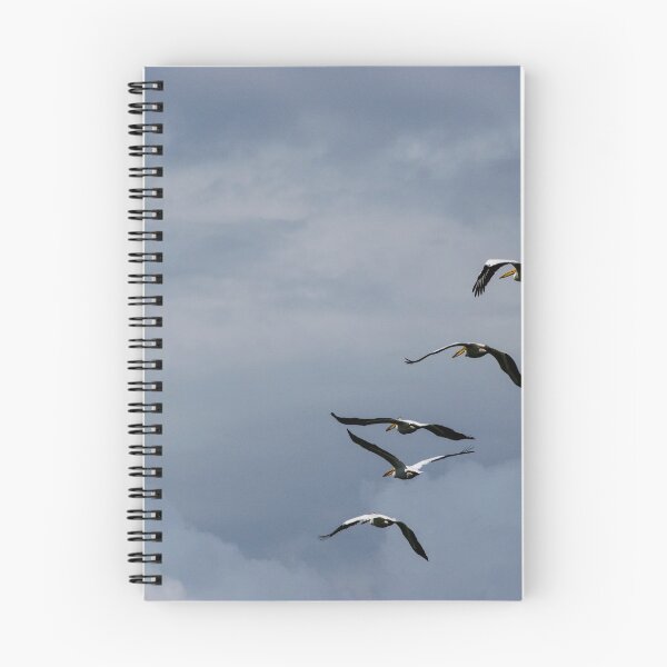 Item preview, Pelicans in flight designed and sold by CanadianWild418.