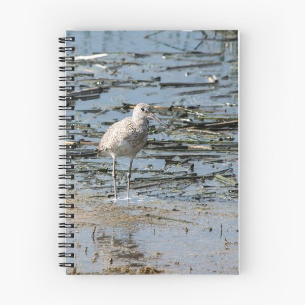 Item preview, Sandpiper designed and sold by CanadianWild418.