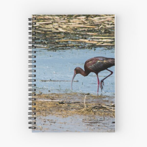 Item preview, White-faced Ibis designed and sold by CanadianWild418.