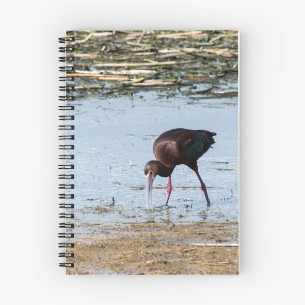 Item preview, Ibis designed and sold by CanadianWild418.