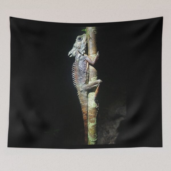 Item preview, Boyd's Forest Dragon (Lophosaurus boydii) designed and sold by Brenna Costello.