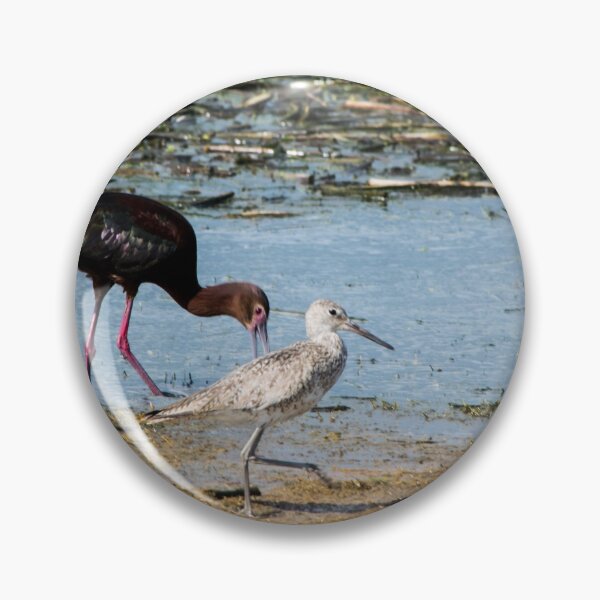 Item preview, Ibis and Sandpiper designed and sold by CanadianWild418.