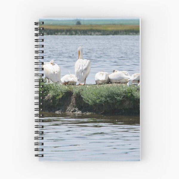 Item preview, American pelicans designed and sold by CanadianWild418.