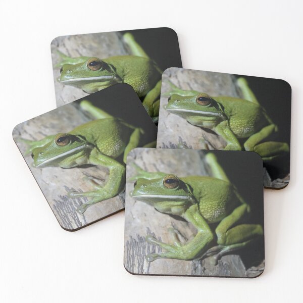 Item preview, White-lipped Tree Frog (Litoria infrafrenata) designed and sold by Brenna Costello.