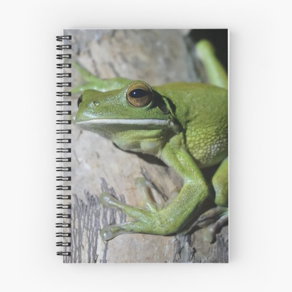 Item preview, White-lipped Tree Frog (Litoria infrafrenata) designed and sold by Brenna Costello.