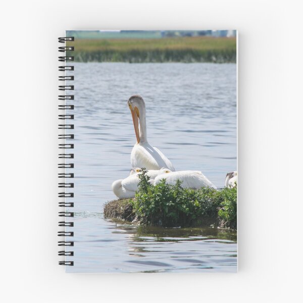 Item preview, Pelicans designed and sold by CanadianWild418.
