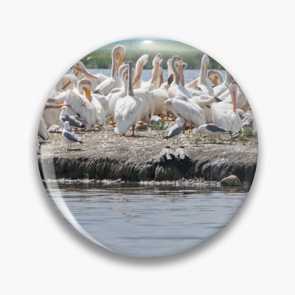 Item preview, White Pelicans designed and sold by CanadianWild418.