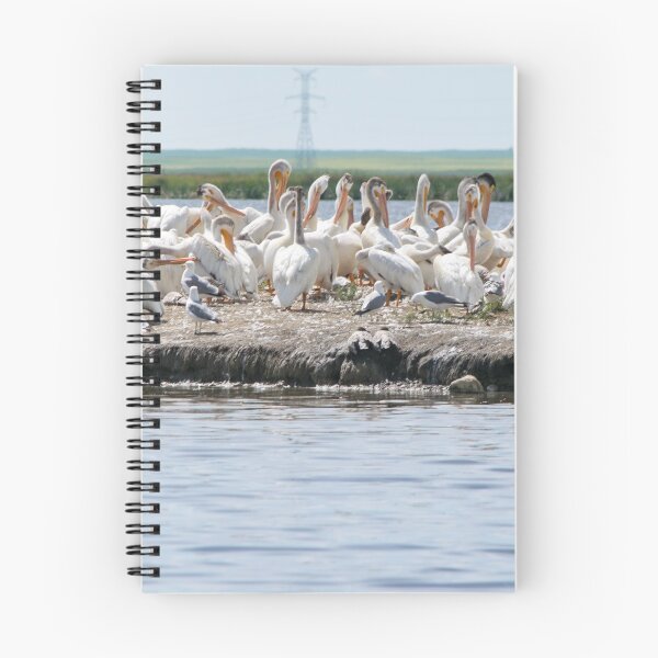 Item preview, White Pelicans designed and sold by CanadianWild418.