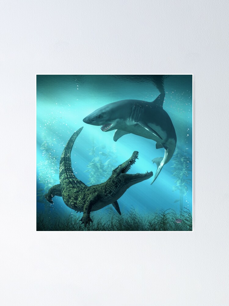 Póster «Tiburón vs cocodrilo» de DanielEskridge | Redbubble