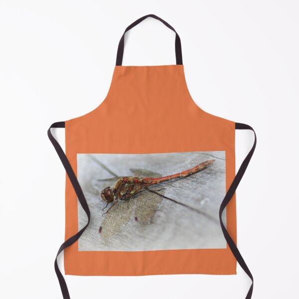 Item preview, resting dragonfly designed and sold by tigerr.