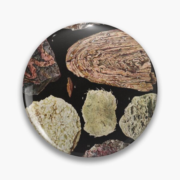 Item preview, J. Vesque - Roches - Vintage french geology illustration 1921 designed and sold by Gardenlibrary.