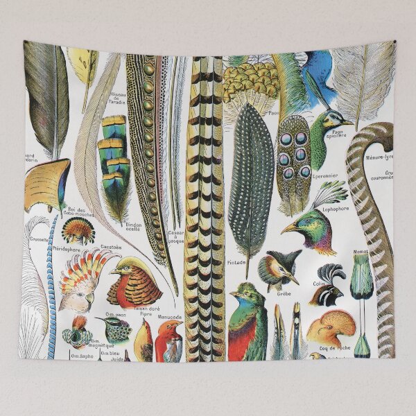 Item preview, Adolphe Millot - Plumes - Vintage french zoology illustration 1921 designed and sold by Gardenlibrary.