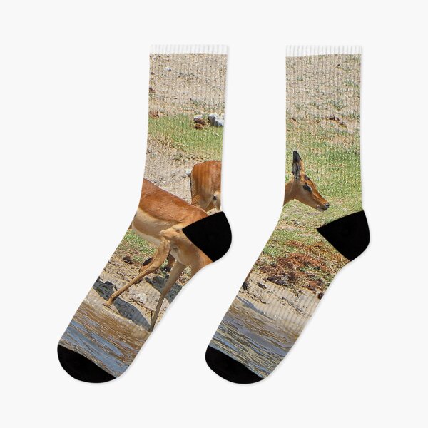 Item preview, Impala at the river,  Chobe, Botswana, Africa designed and sold by FranWest.