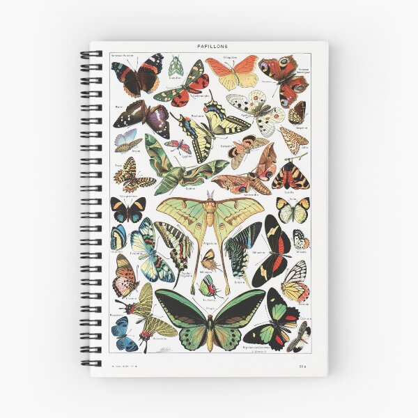 Item preview, Adolphe Millot - Papillons - Vintage french science illustration 1921 designed and sold by Gardenlibrary.