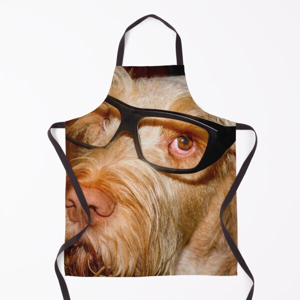 Item preview, Smart thinking Spinone designed and sold by FOLK ART FUSION by heidiannemorris.