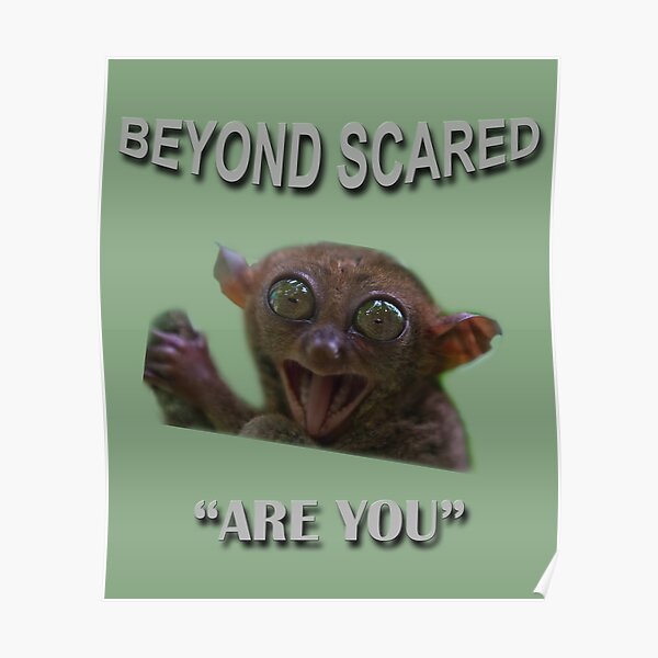 get-scared-posters-redbubble