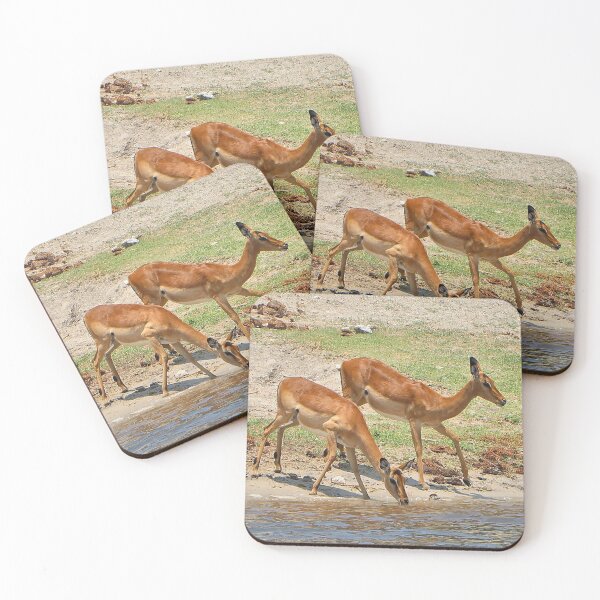 Item preview, Impala at the river,  Chobe, Botswana, Africa designed and sold by FranWest.