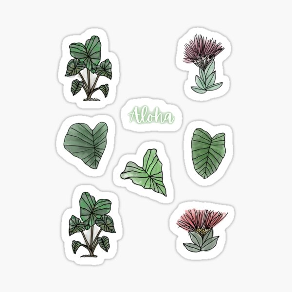 Aloha Kalo & Ohi'a Lehua Stickers Sticker