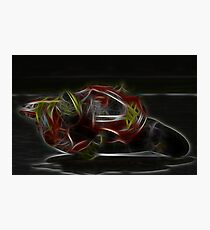 MotoGP Photographic Print