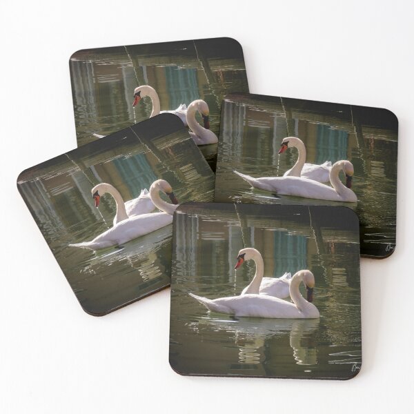 Item preview, Two Swans at Burano designed and sold by JPfeiffer Pfotos.