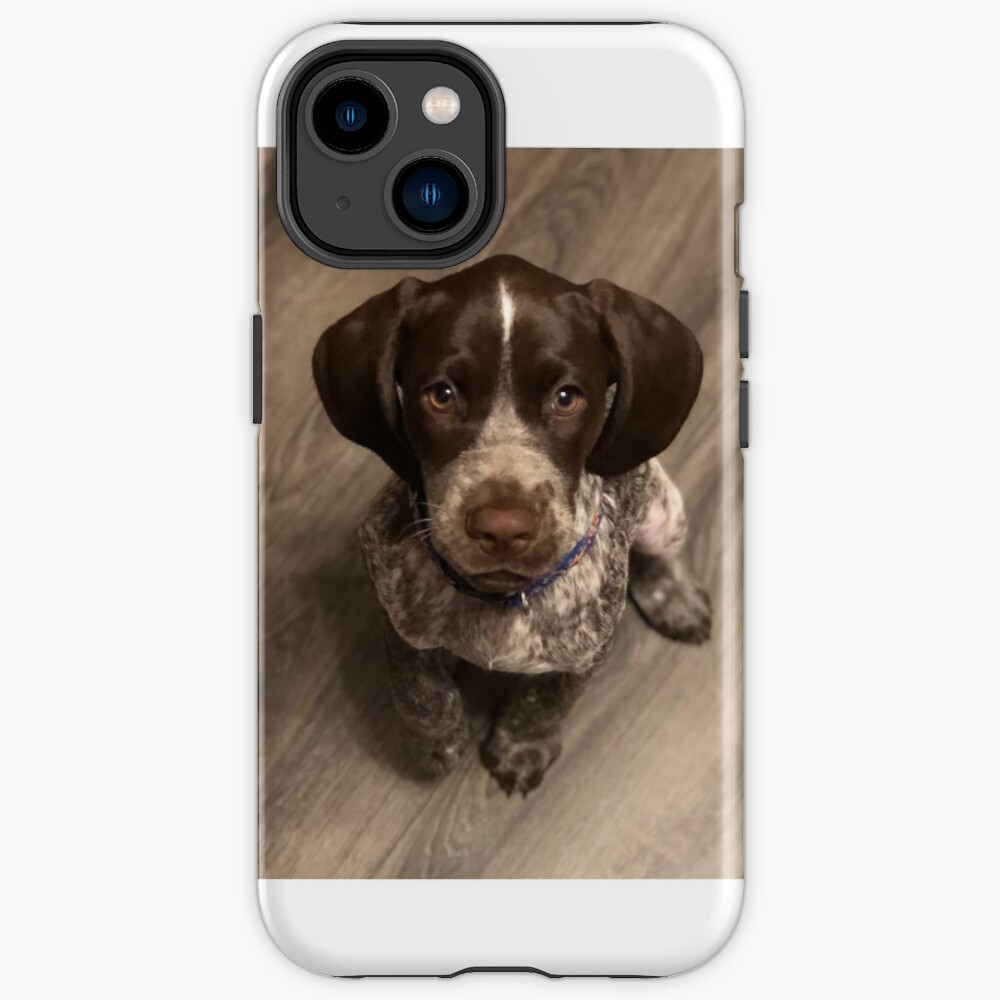 Sweet Little Pointer Puppy iPhone Case