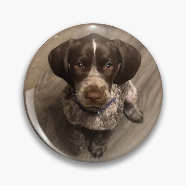 Item preview, Sweet Little Pointer Puppy designed and sold by BaileyBirdDog.
