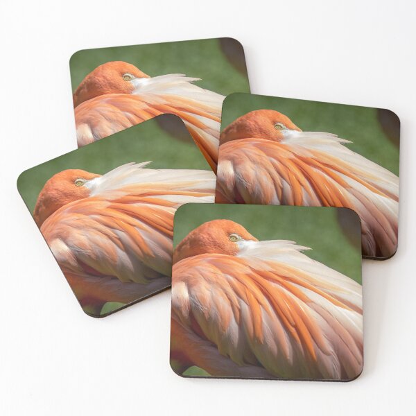 Item preview, Resting Flamingo designed and sold by JPfeiffer Pfotos.