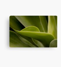 ~ envelop ~ Canvas Print