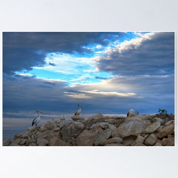Item preview, Pelicans and a break in the sky designed and sold by Dean Wiles.