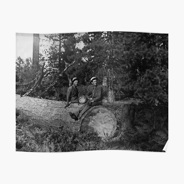 " American Loggers " Poster
