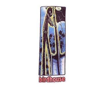 Vintage Birdhouse Tony Hawk Bird House Hook Ups Skate Brand Cartoon Hookups  Hook-Ups Cute Frogs Animals Frog Art Board Print for Sale by jackyboi