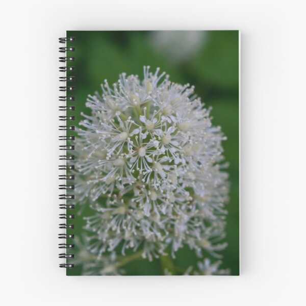 Item preview, Delicate flower. designed and sold by CanadianWild418.