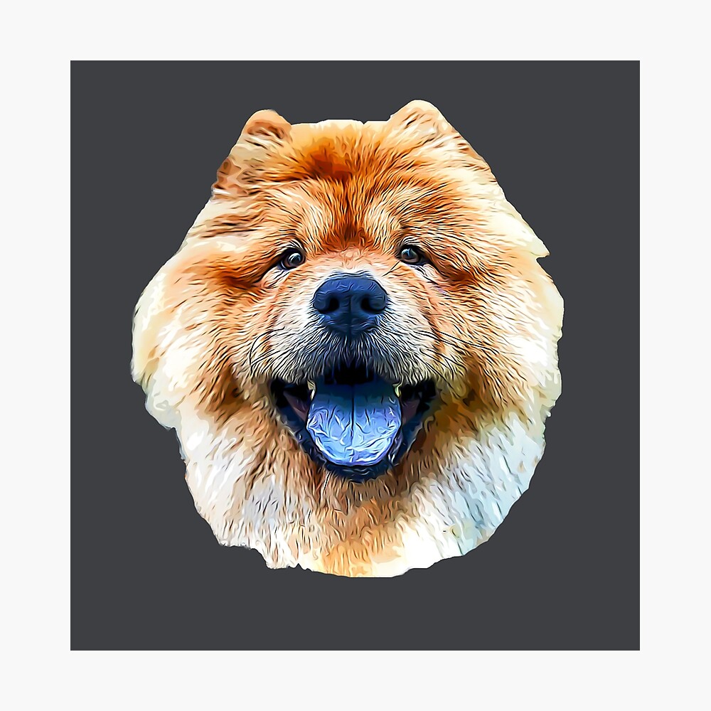 chow chow art