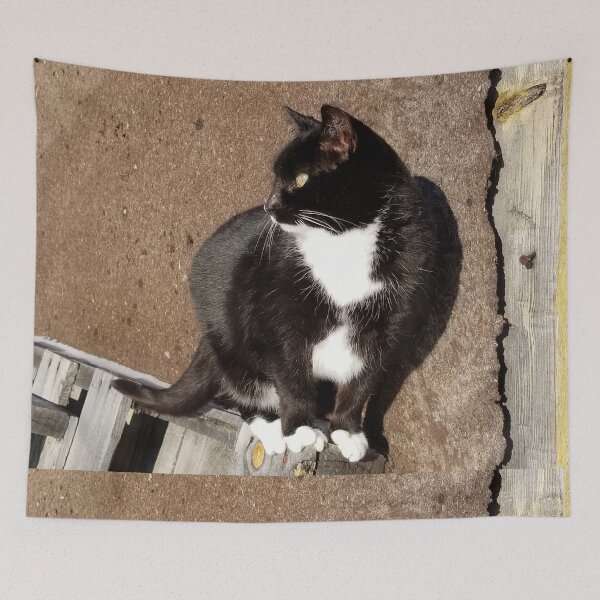 Item preview, Barn Cat on Pallets designed and sold by f2error.