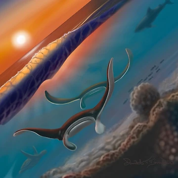 Artwork thumbnail, Manta Rays by DTi Paints