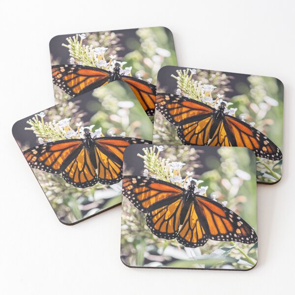 Item preview, Monarch Butterfly designed and sold by bwatkinsphoto.