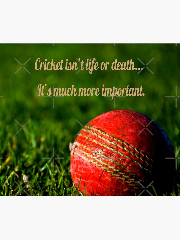 "Cricket Red Ball Funny Motivational " Throw Blanket for Sale by mwagie Redbubble