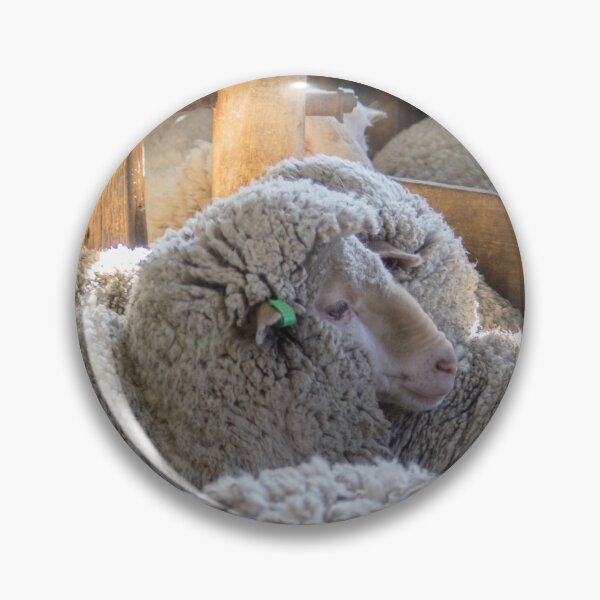 Item preview, First Shearing designed and sold by Clare Colins.