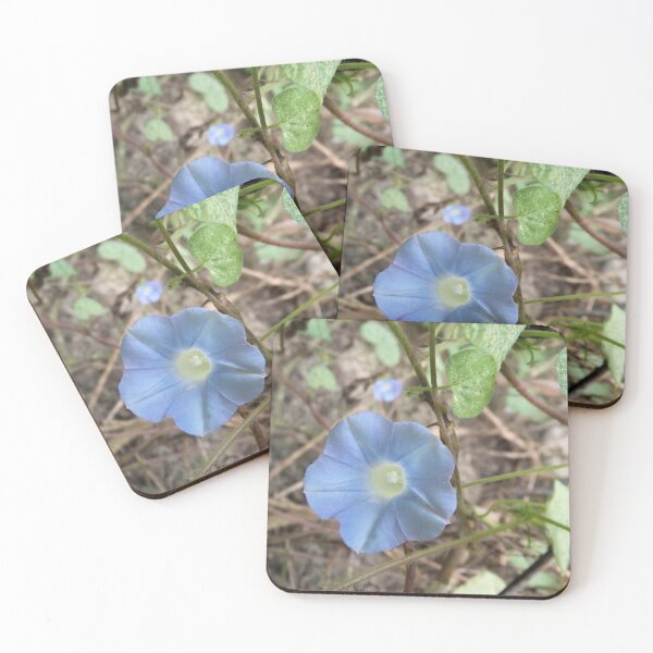 Item preview, Light blue morning glory bloom designed and sold by VondasCreations.