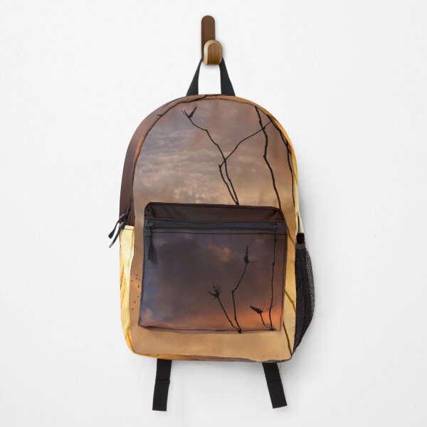 Item preview, Ocotillos at sunset. designed and sold by Alex Preiss.