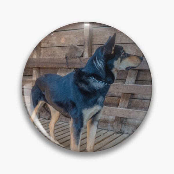 Item preview, Kelpie in the woolshed designed and sold by Clare Colins.