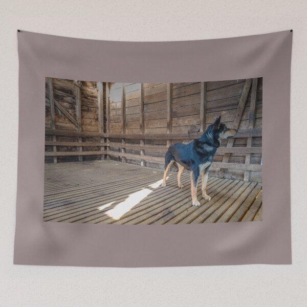 Item preview, Kelpie in the woolshed designed and sold by Clare Colins.