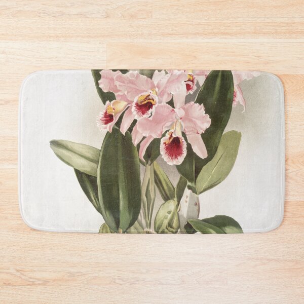 Item preview, Reichenbachia: Orchids Illustrated and Described designed and sold by EsotericBotanic.
