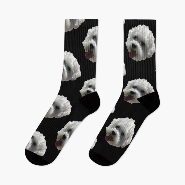Item preview, Smiling Bichon Frise designed and sold by Raechel Josephine.
