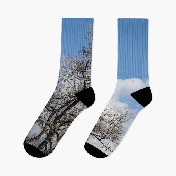 Item preview, Trees On the Hill designed and sold by heatherfriedman.