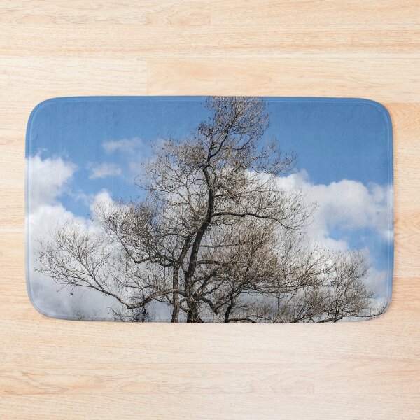 Item preview, Trees On the Hill designed and sold by heatherfriedman.